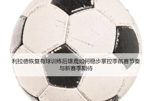 利拉德恢复有球训练后雄鹿如何稳步掌控季前赛节奏与新赛季期待